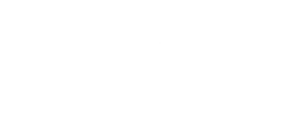 logo efficlogo-branca